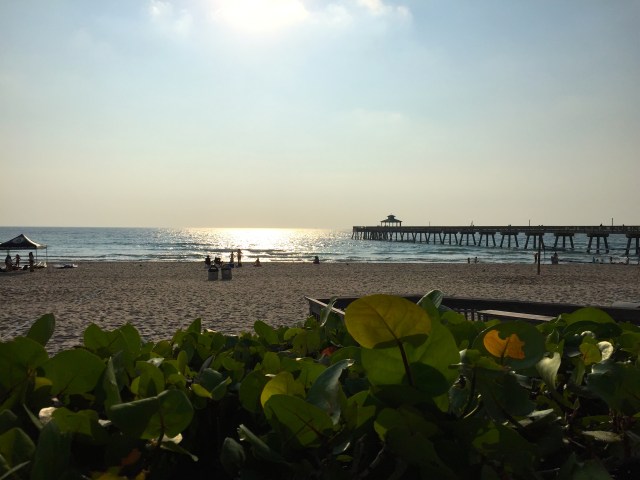 I joined her for early morning walks on the beach...something she does religiously.  